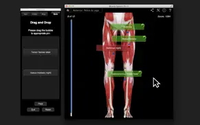 muscle system pro iii iphone capturas de pantalla 4