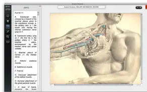 surgical anatomy - premium edition iphone resimleri 2