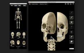 skeletal system pro iii iphone capturas de pantalla 1