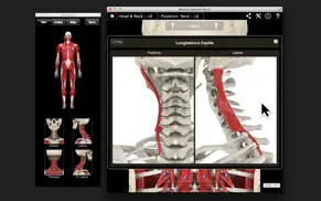 muscle system pro iii iPhone Captures Décran 3
