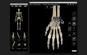skeletal system pro iii iphone capturas de pantalla 4