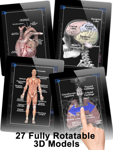 anatomy 3d: organs ipad images 3