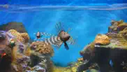 fish fingers! 3d interactive aquarium айфон картинки 1
