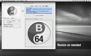 base64 image encoder iphone capturas de pantalla 4