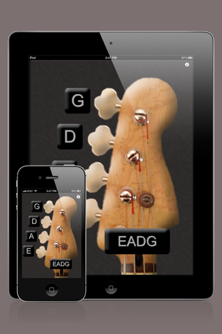 bass guitar tuner iphone images 2