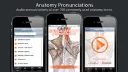 anatomy pronunciations lite iphone images 1