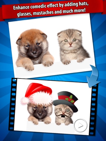 ifunface - talking photos, ecards and funny videos ipad images 4