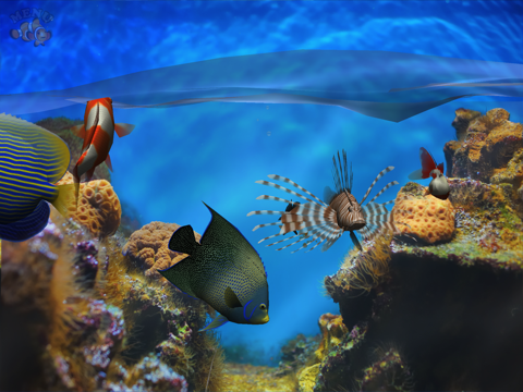 fish fingers! 3d interactive aquarium айпад изображения 1