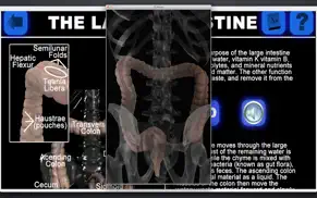 anatomy 3d organs iphone capturas de pantalla 4