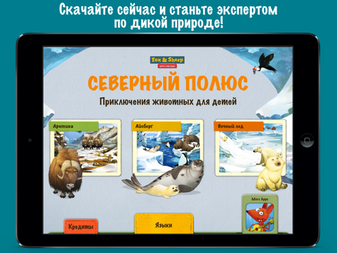 Северный полюс - Приключения животных для детей айпад изображения 4