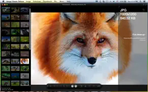 image viewer deluxe iphone images 4