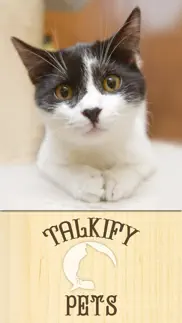 talkify pets iphone resimleri 1