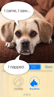 talkify pets iphone resimleri 4