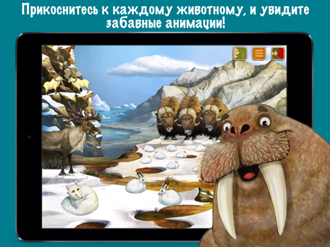 Северный полюс - Приключения животных для детей айпад изображения 2
