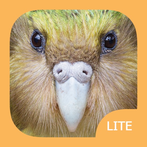 Birds of New Zealand LITE app reviews download