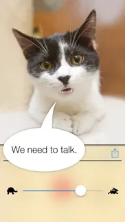 talkify pets iphone resimleri 2