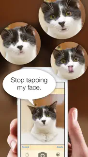talkify pets iPhone Captures Décran 3