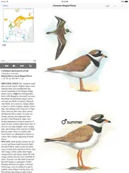 birds of western palearctic ipad images 1