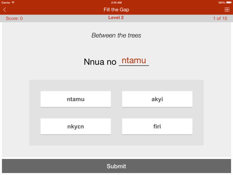 twi primer - learn to speak and write akan twi language: grammar, vocabulary & exercises ipad images 4