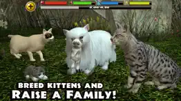 stray cat simulator iphone images 2