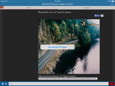 awesome web image collector lite ipad capturas de pantalla 1
