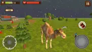 camel simulator iphone images 4