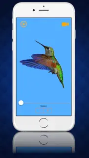 play videos in slow motion - analyze your video recordings in slowmo iphone resimleri 1