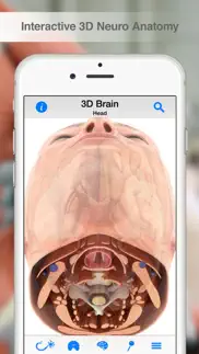 pocket brain iphone images 2