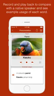 swahili primer - learn to speak and write swahili language: grammar, vocabulary & exercises iphone images 4