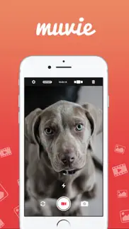 muvie – compose videos with ease! iphone images 1