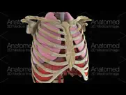 anatomed - 3d medical image ipad images 1