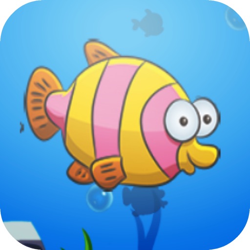 Boy Fishing - Fish Daily Catch app reviews download
