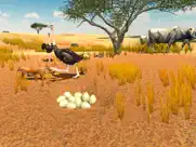 furious ostrich simulator ipad images 2