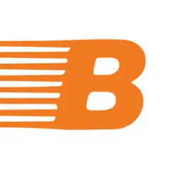 bulkmatic transport logo, reviews