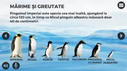 pinguini iphone capturas de pantalla 1