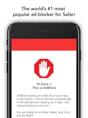 adblock for mobile ipad images 2
