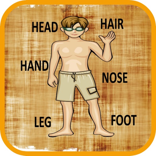 Learn Body Parts in English app reviews download