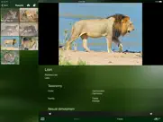 mammal guide of southern africa ipad images 3