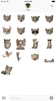 little kitten stickers iphone resimleri 1