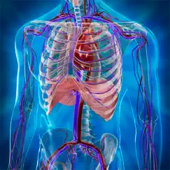 human anatomy position logo, reviews
