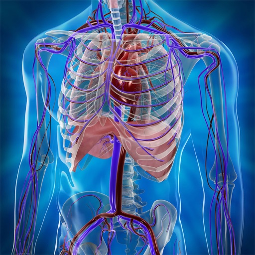 Human Anatomy Position app reviews download