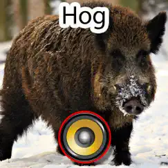 real hog hunting calls & sounds logo, reviews