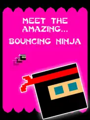 bouncy ninja - the original ipad images 1