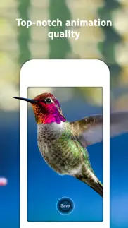 moving wallpapers pro for lock screen iphone images 2