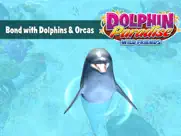 dolphin paradise - all access ipad images 2