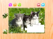 cat jigsaw puzzles game animals for adults ipad images 3