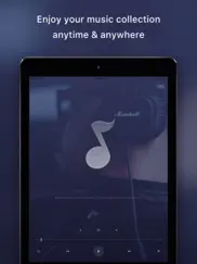 cloud music player -play offline & background ipad images 2