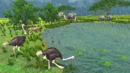 furious ostrich simulator iphone images 1