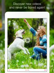 dog training school - learn how to train puppies ipad images 1