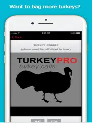 real turkey calls for turkey hunting ipad images 1